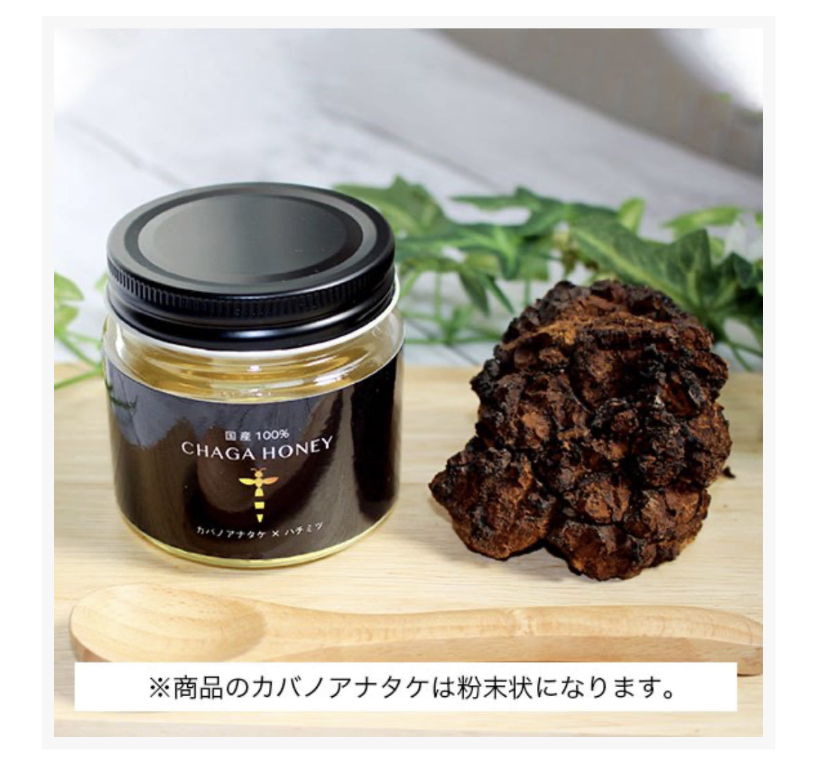 【Pluscareパートナーサロン様限定】CHAGA HONEY 102g/チャーガハニー