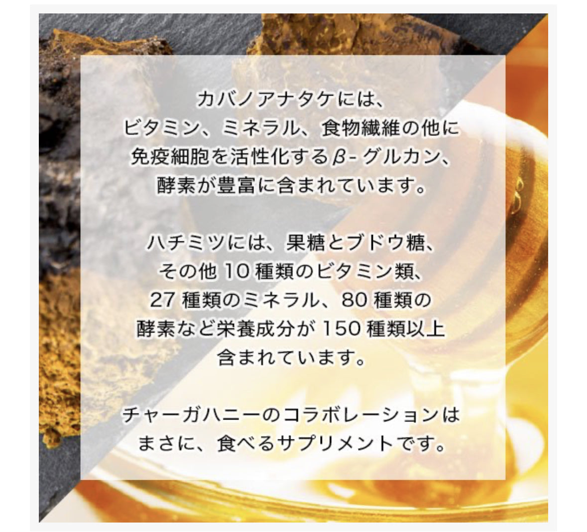 【Pluscareパートナーサロン様限定】CHAGA HONEY 102g/チャーガハニー