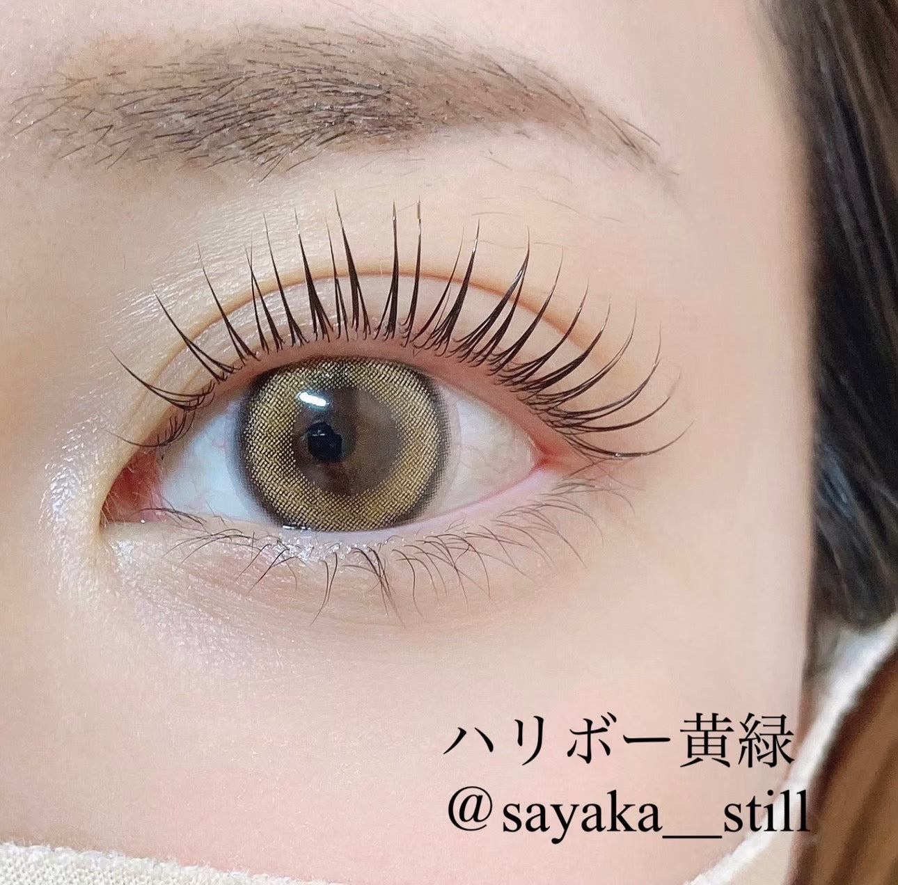 【DAIYOKUJO】ハリボーロット