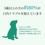 【Pluscare パートナーサロン様限定】ペット用木曽檜歯磨きジェル120g