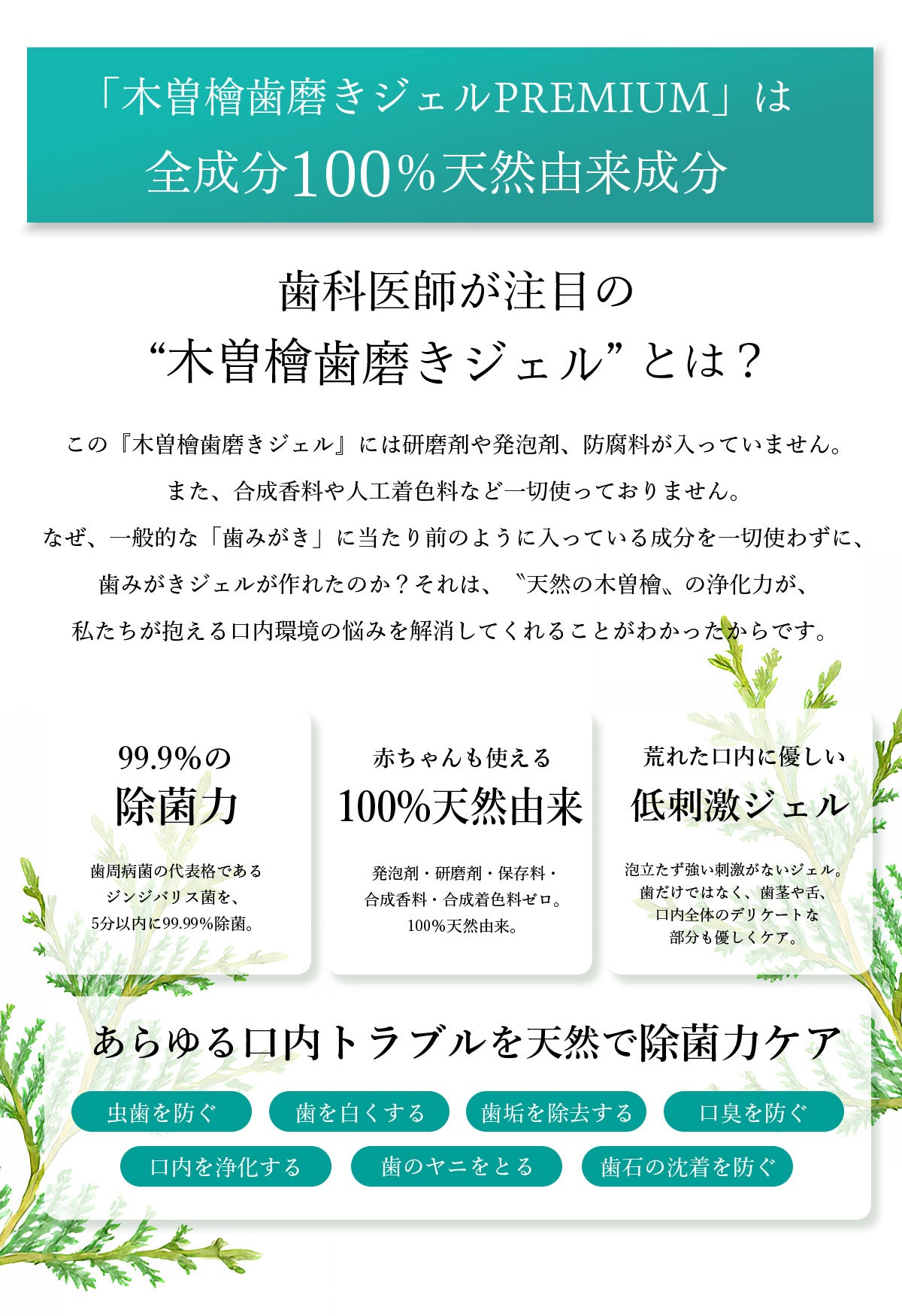 【Pluscareパートナーサロン様限定】木曽檜歯磨きジェルPREMIUM80g