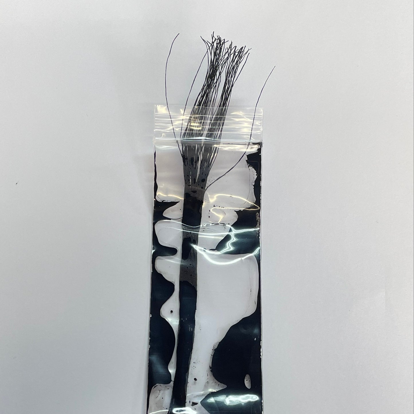 【ena-ji】IRO map(黒or白)