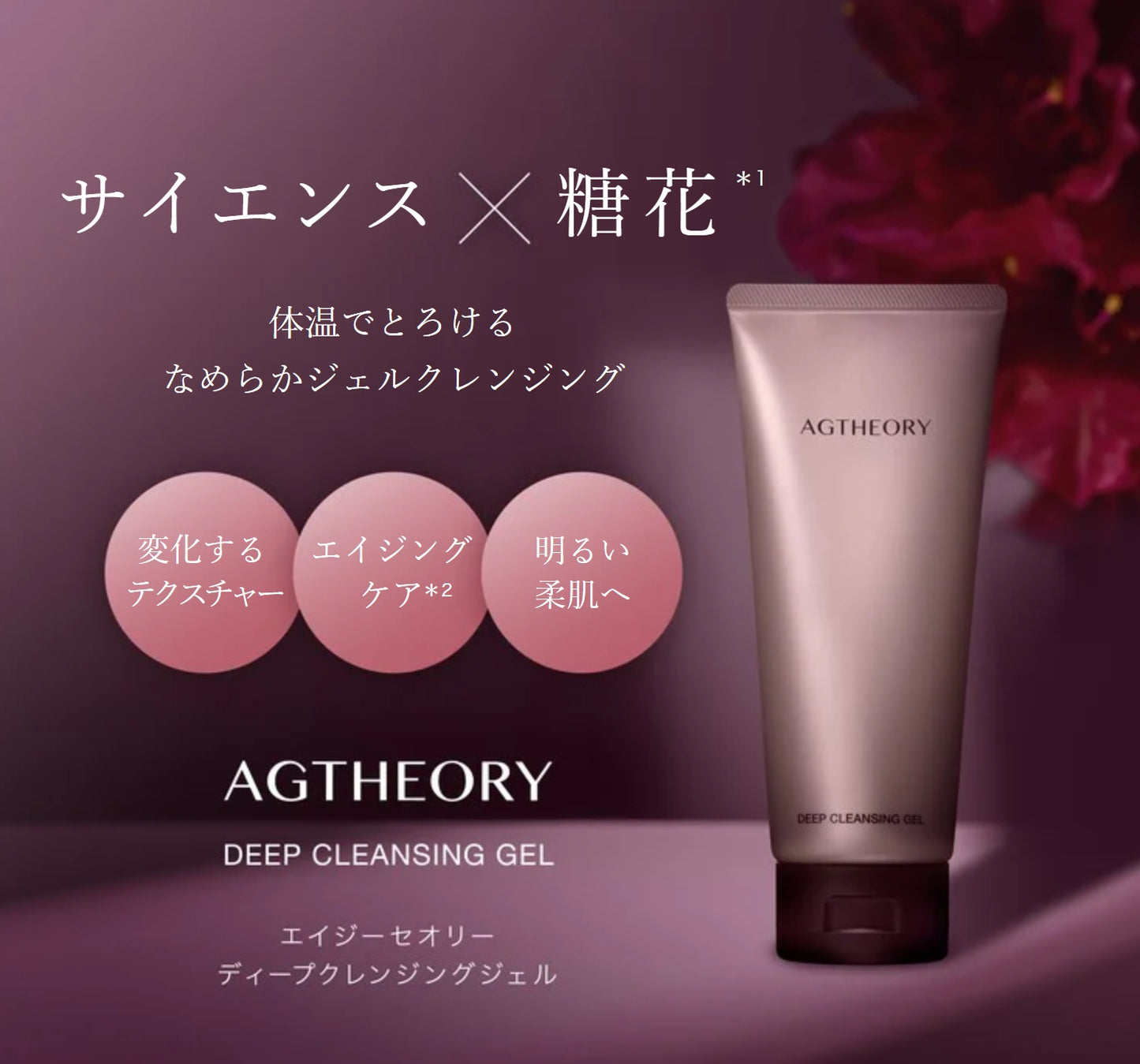 【AXXZIA】AGセオリー