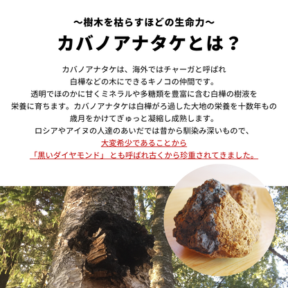 【Pluscareパートナーサロン様限定】天恵クオリティソープ80g
