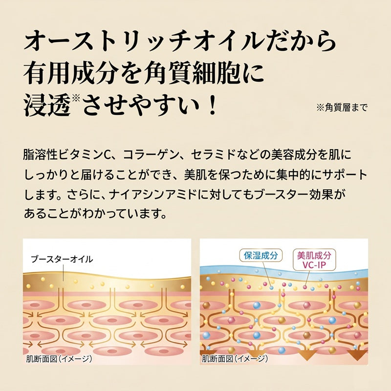 【SPEEDIA by吉野家】グラマラスブースターオイル