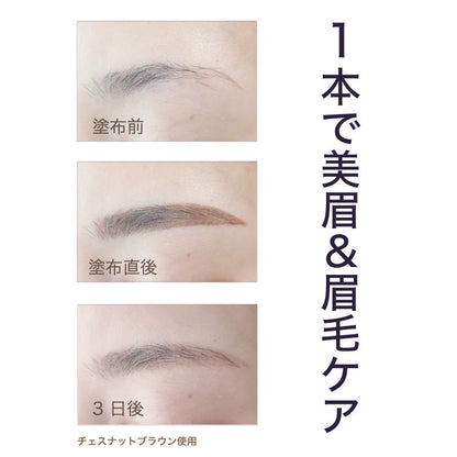 【落ちない眉毛】ハーブタンニング　ティント