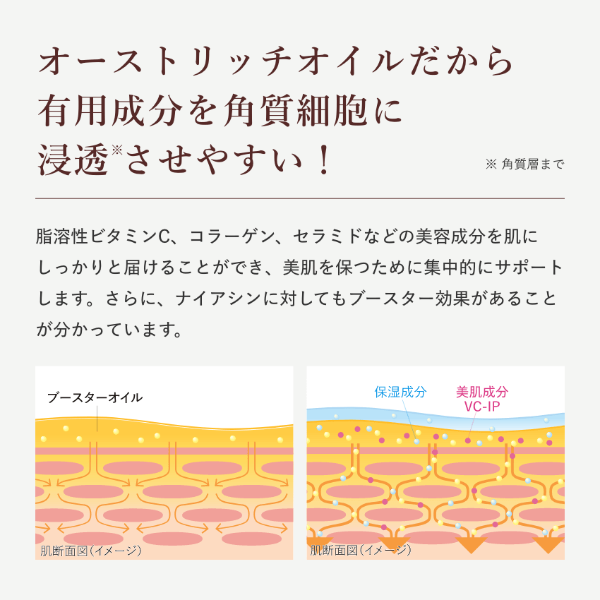 【SPEEDIA　by吉野家】 グラマラスブースターオイル 17ml (約30日分)