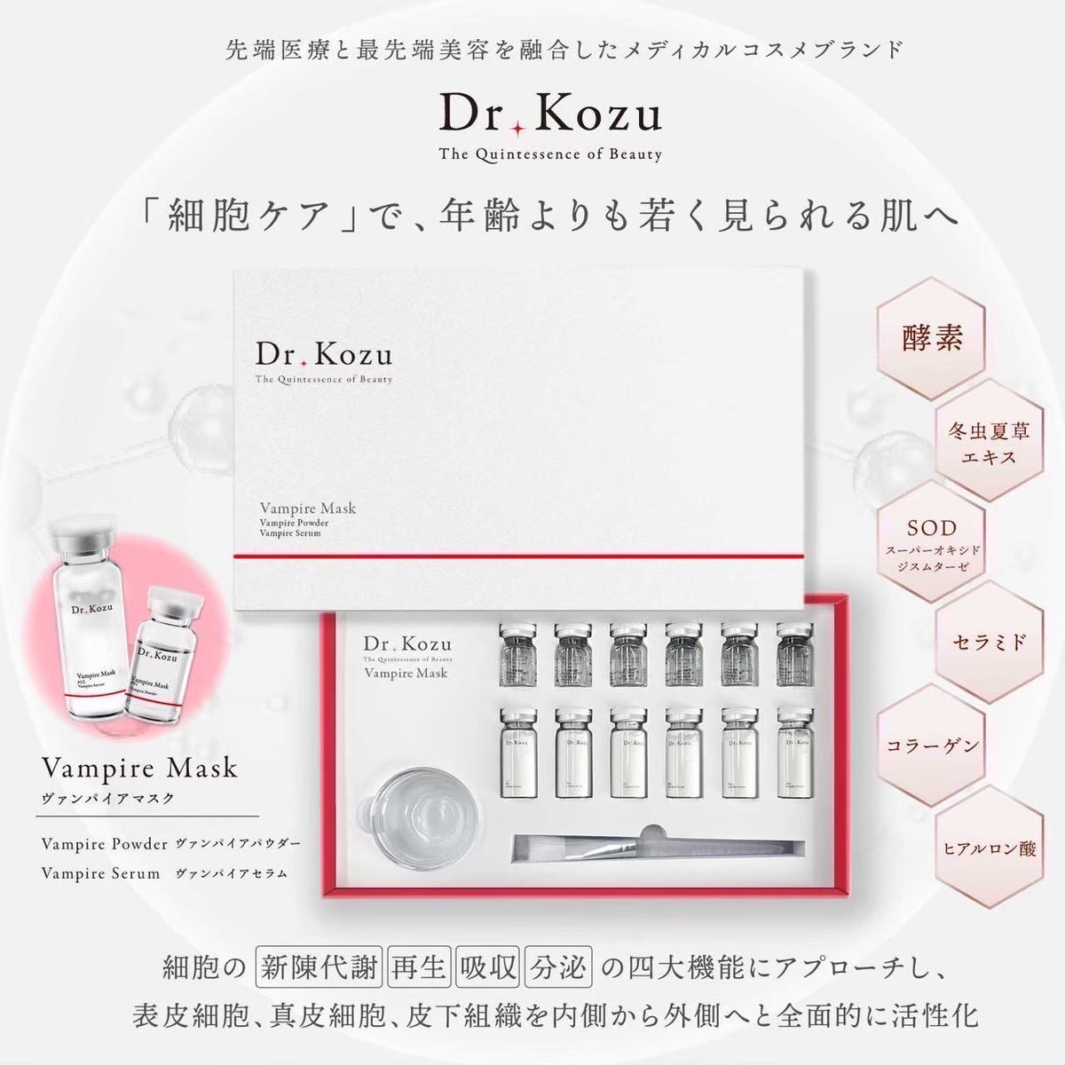 【Dr.kozu】今日限定！月末発送