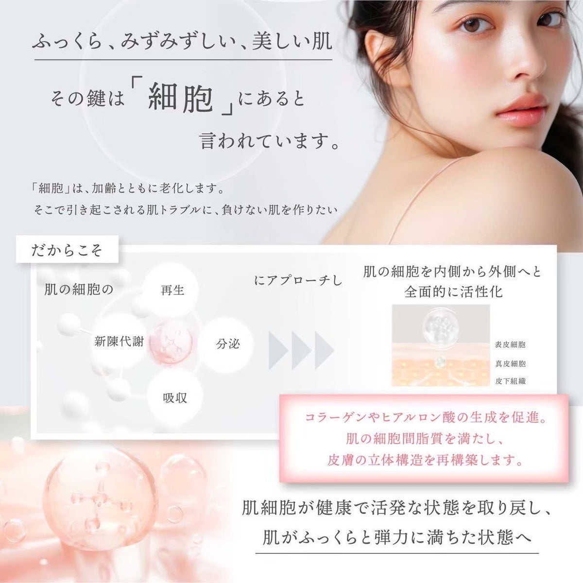 【Dr.kozu】今日限定！月末発送