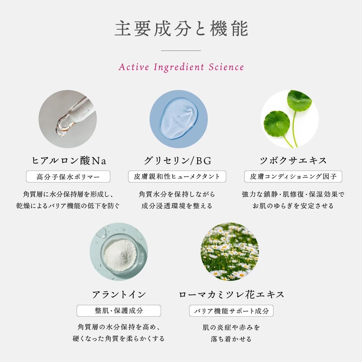 【Dr.kozu】今日限定！月末発送