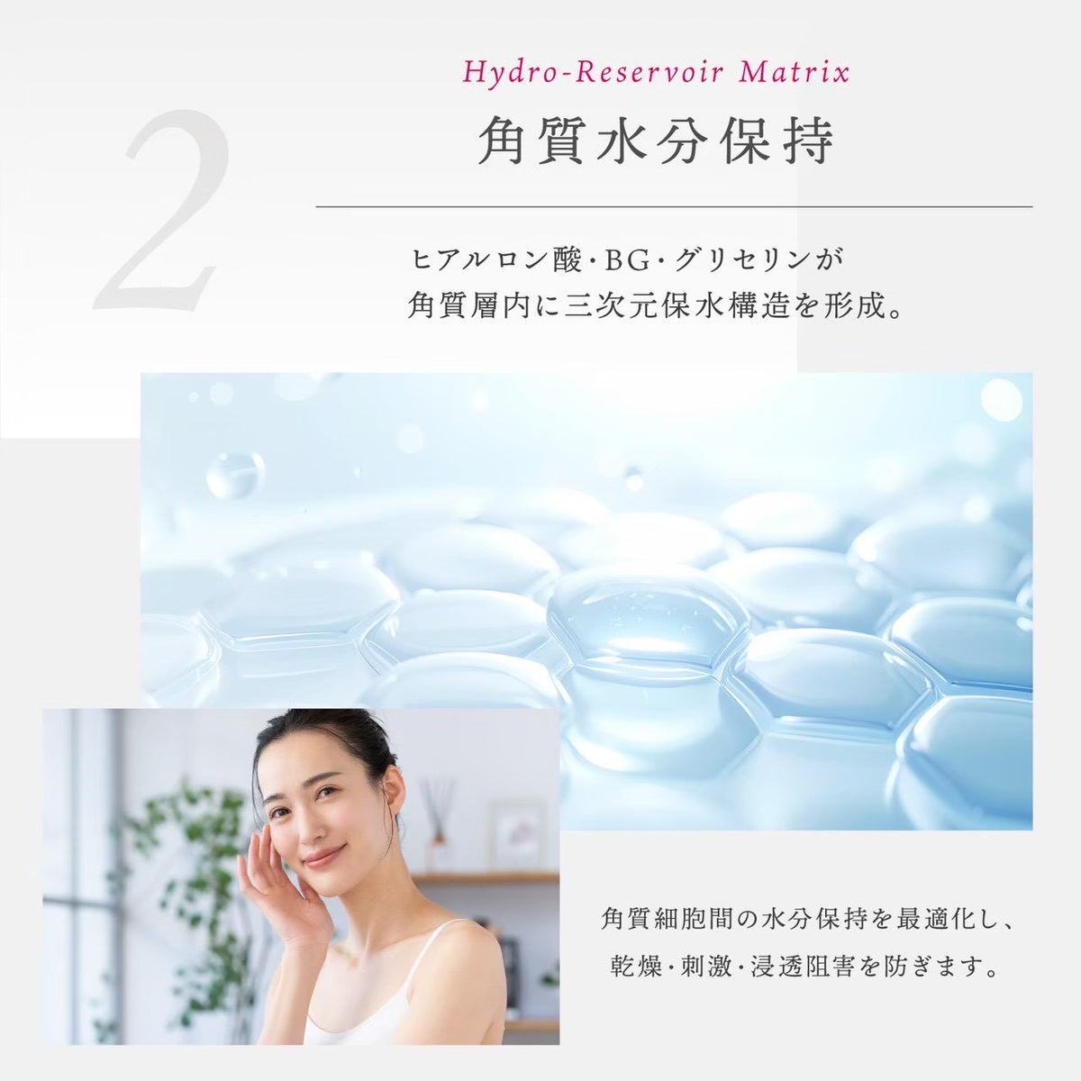 【Dr.kozu】今日限定！月末発送