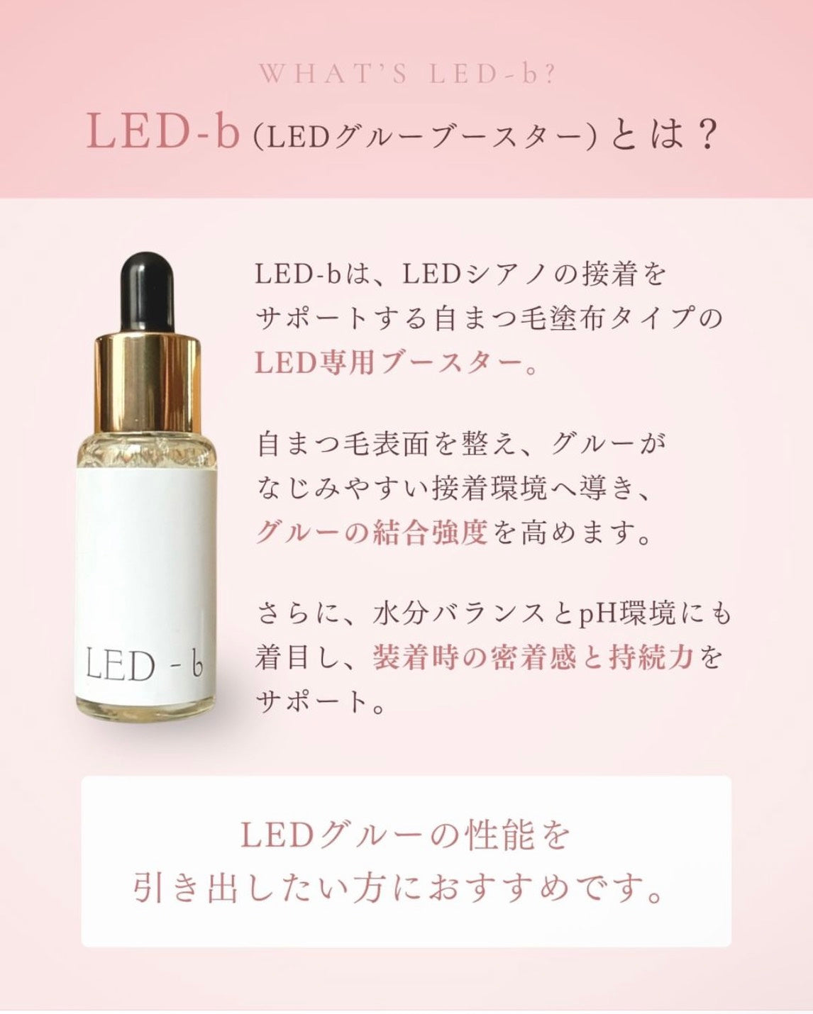 【Lash Colors】《9月末発送》LED-b （LEDグルーブースター）