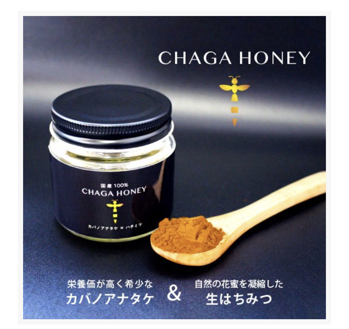 【Pluscare】CHAGA HONEY 102g／チャーガハニー
